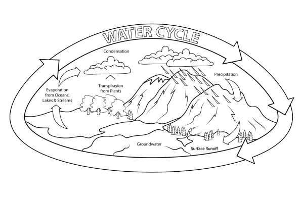 Круговорот воды в природе. Изучаем окружающий мир. Раскраски для раннего разв...