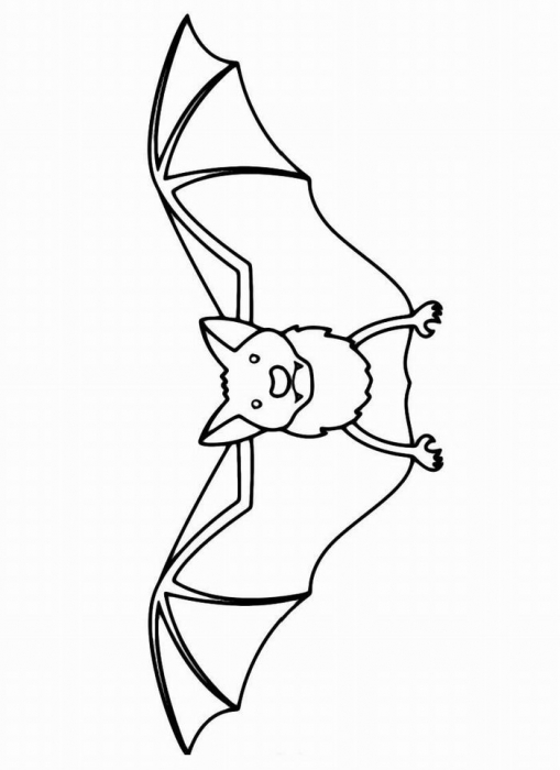 Летучая мышь которая летает или висит вверх ногами