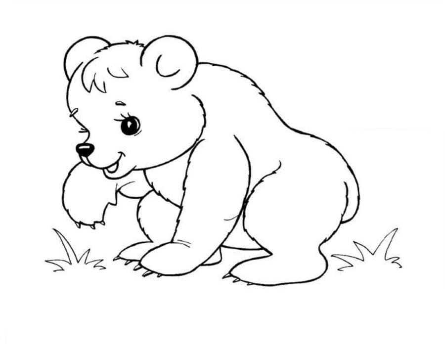 Рисунки зверей для детей