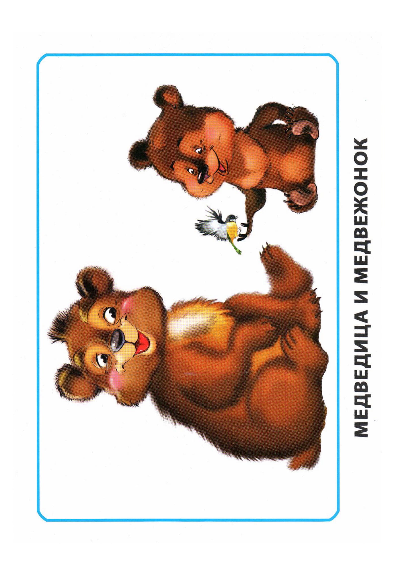 Карточки по окружающему миру. Мамы и дети. Раннее развитие детей.