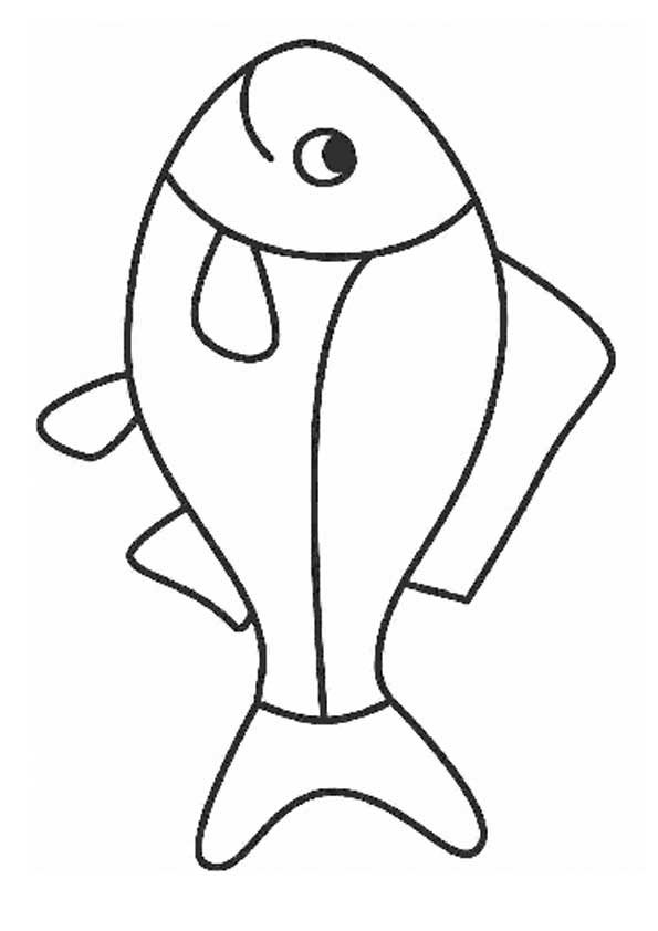 Раскраски с морскими речными и аквариумными рыбами  а также обитателями морей...