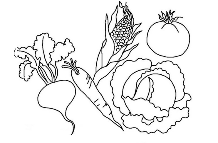 Раскраски с овощами для детей скачать бесплатно