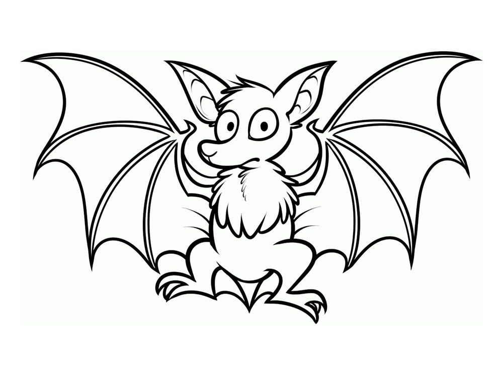 Летучая мышь которая летает или висит вверх ногами