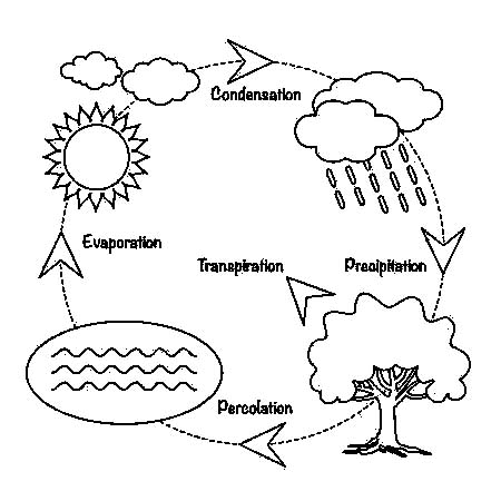 Раскраски со схемами круговорота воды в природе для занятий по раннему развит...