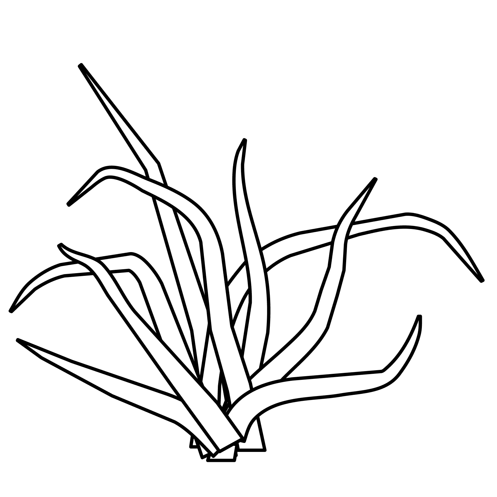 Раскраски травы для изучения природы с детьми