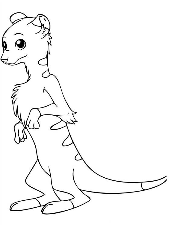 Сурикаты стоят на задних лапках