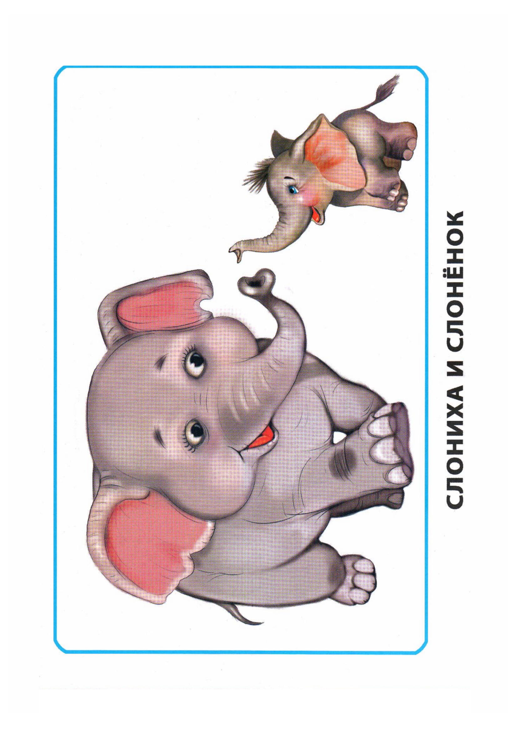 Карточки по окружающему миру. Мамы и дети. Раннее развитие детей.