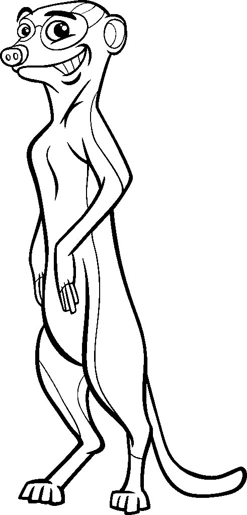 Сурикаты стоят на задних лапках