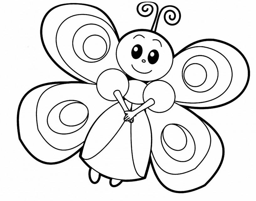 красивые бабочки хорошего качества 