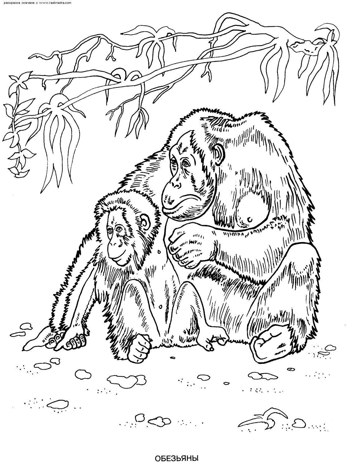 Самое Умное Фото