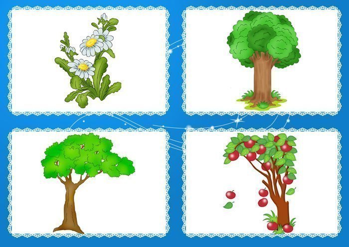 Задания на развитие логики для дошкольников. Найди лишний предмет