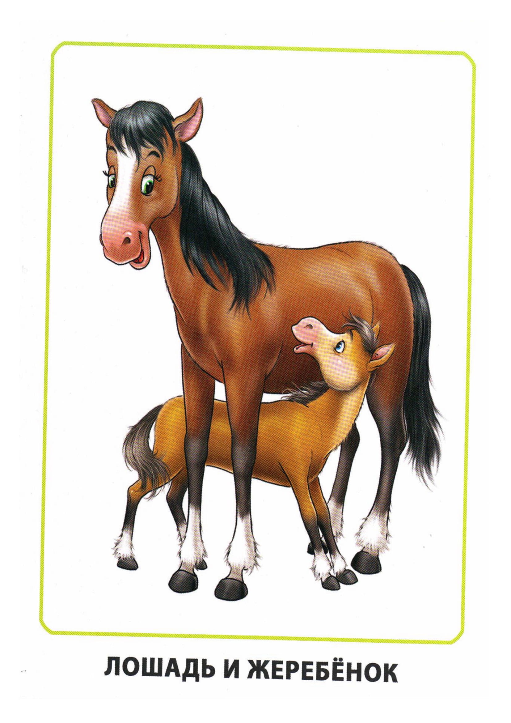 Карточки по окружающему миру. Мамы и дети. Раннее развитие детей.