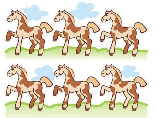 Задания на внимательность. Найди одинаковые картинки