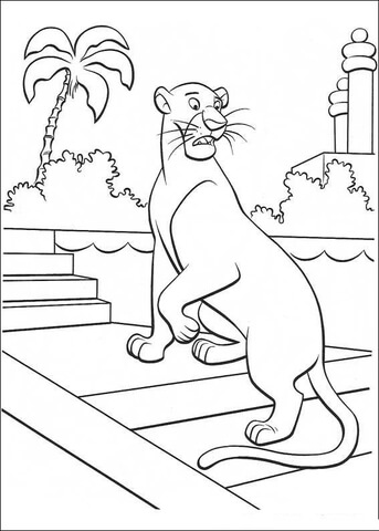 Животное пантера. Дикая хищная кошка африки