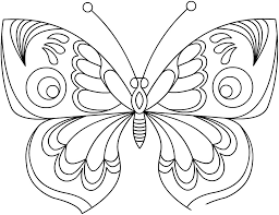 красивые бабочки хорошего качества 