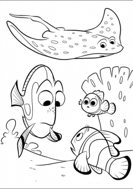 Раскраски с морскими речными и аквариумными рыбами  а также обитателями морей...