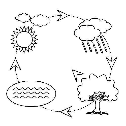 Раскраски со схемами круговорота воды в природе для занятий по раннему развит...
