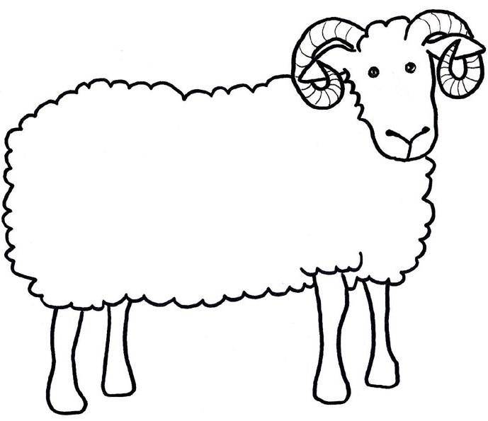 Баран. Раскраски с барашками