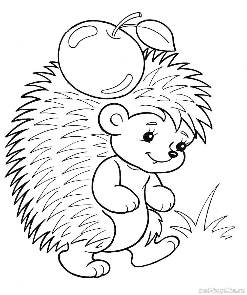 Раскраски с ежами у которых на спине яблоки грибы и листья