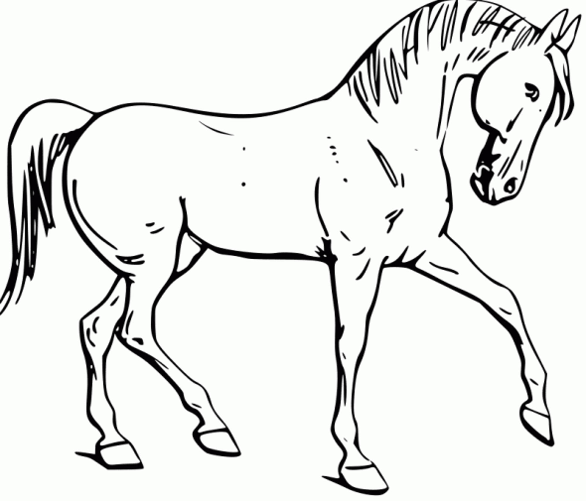 Раскрасить лошадку. Раскраска. Лошади. Раскраска конь. Лошадка раскраска для детей. Лошадка рисунок.