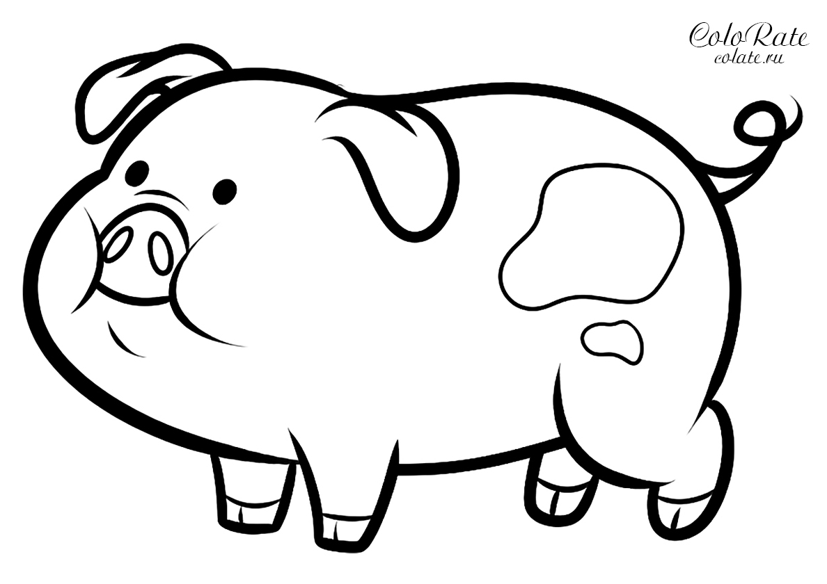 Просто Фото Бесплатно Домашние