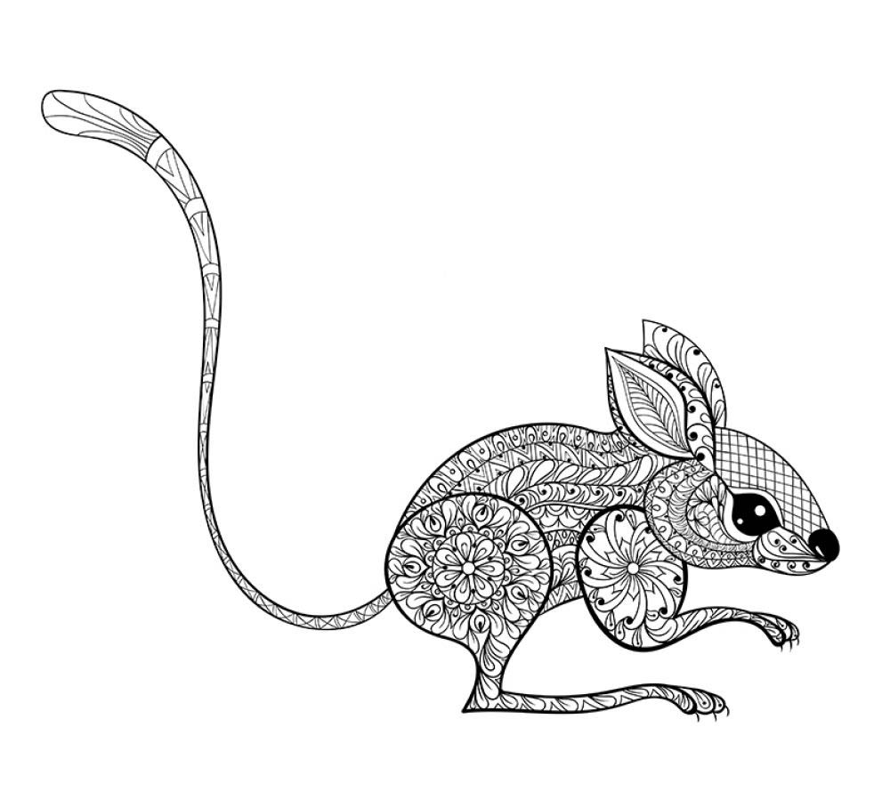 тушканчик. Животные степей. Грызуны