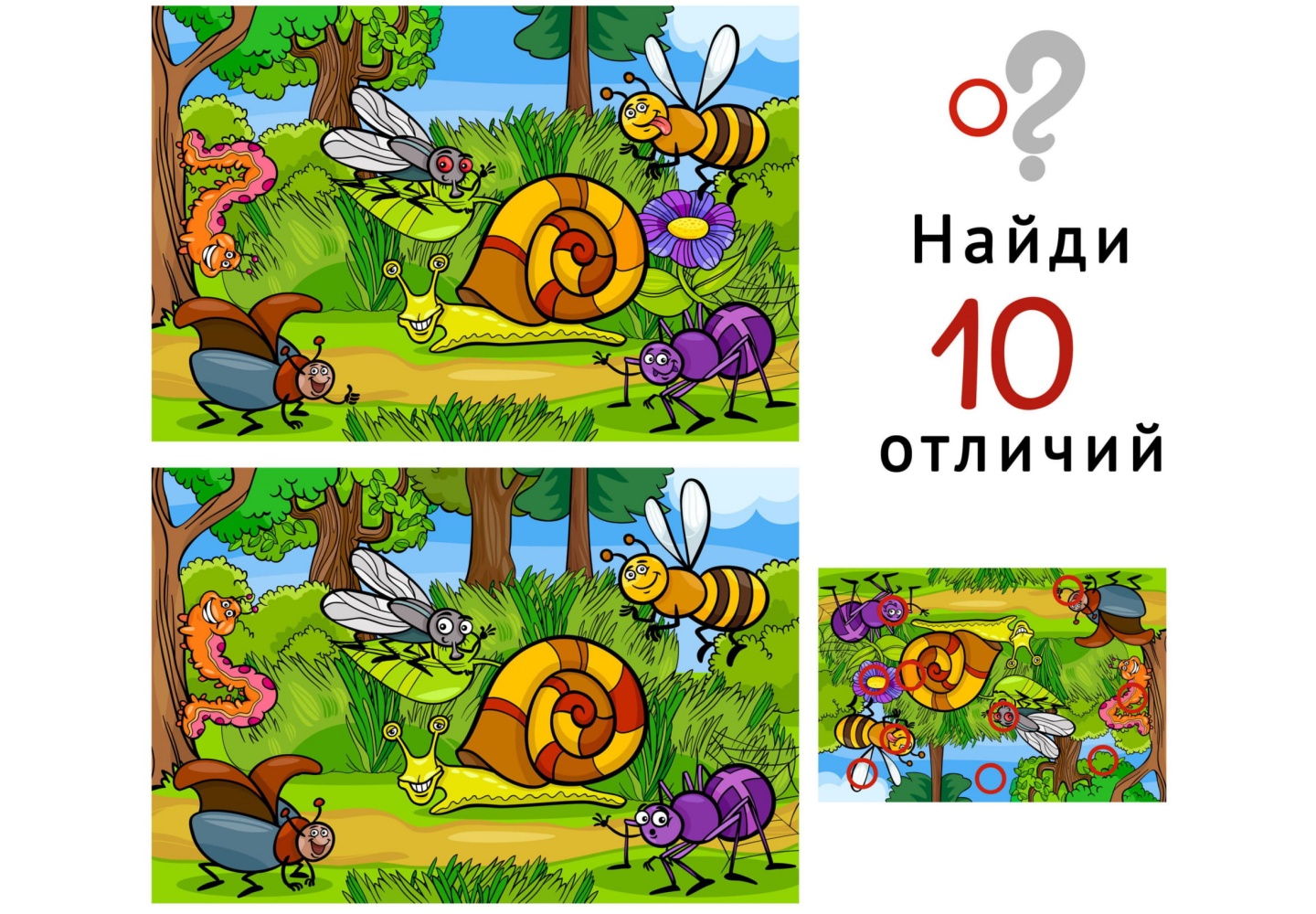 Найди 10 отличий 
