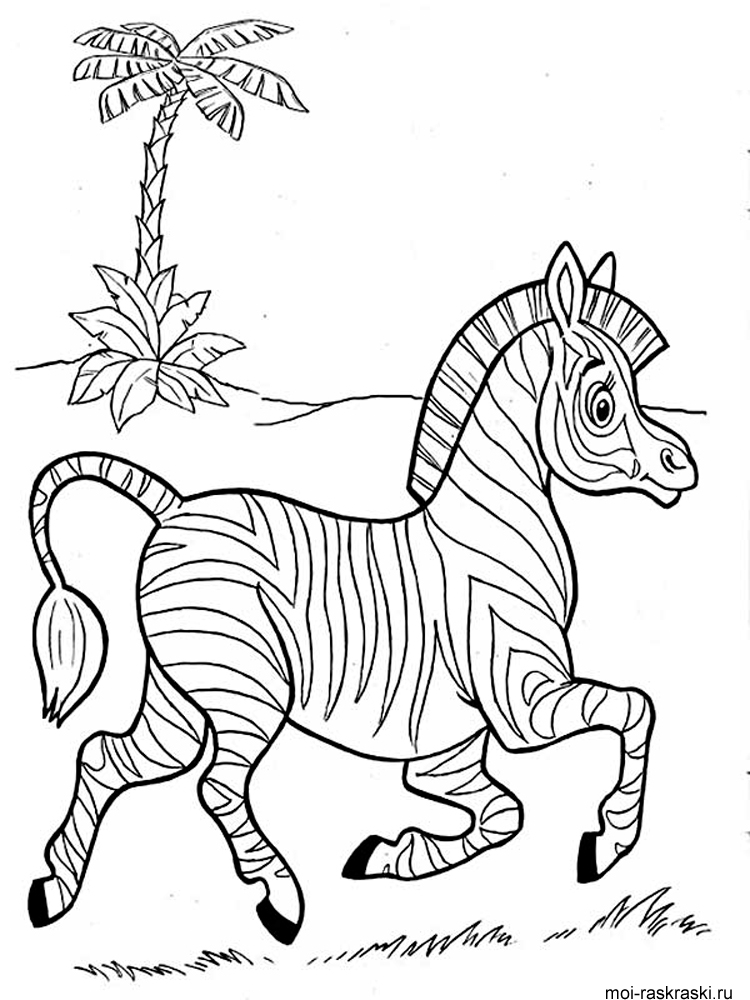 Полосатая зебра