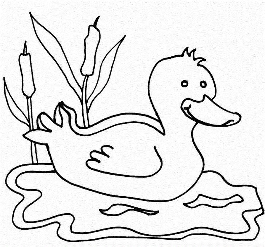 Раскраска уточка для малышей