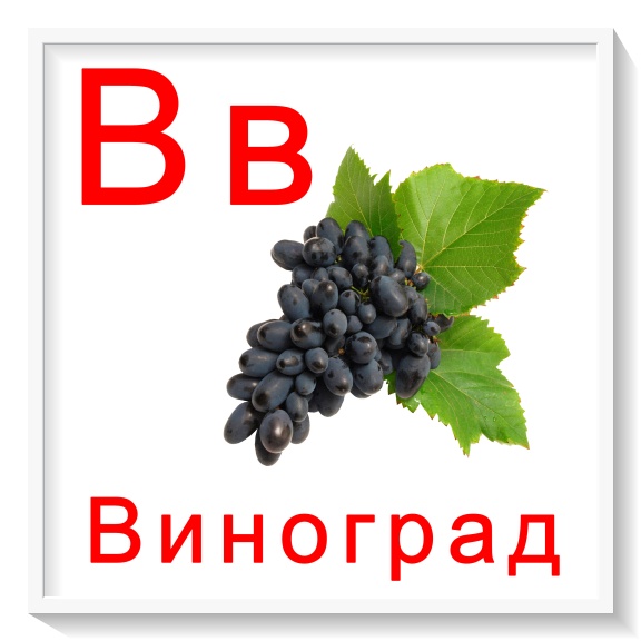 Карточки буквы от я до я все буквы русского алфавита скачать для занятий с де...