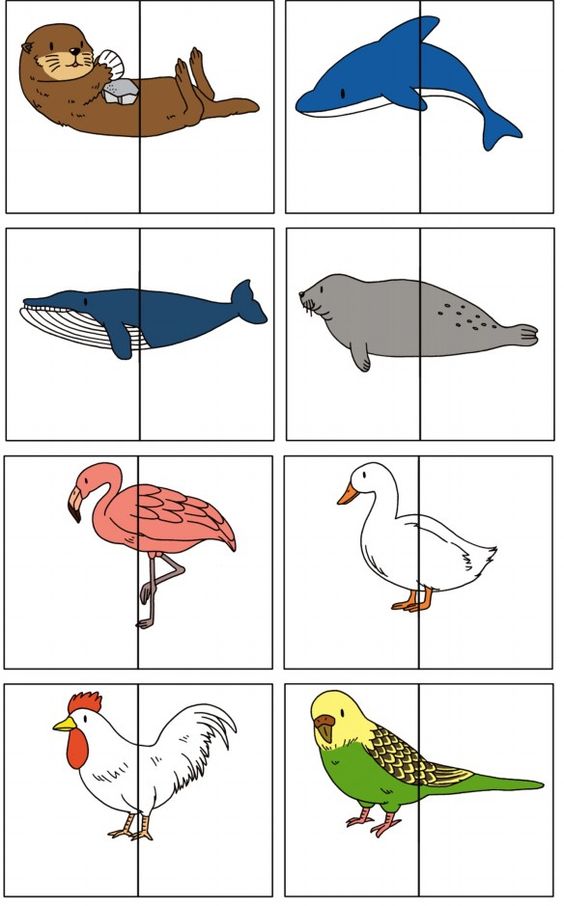 Карточки которые нужно разрезать и дать детям чтобы они нашли пару