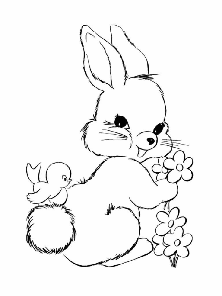 Раскраски с животными для девочек