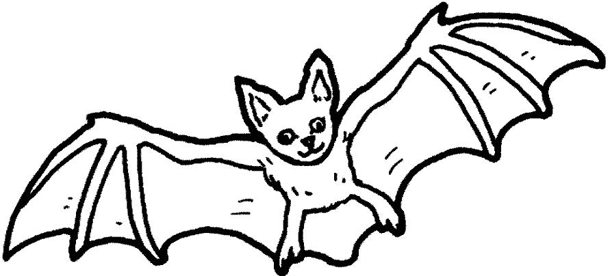 Летучая мышь которая летает или висит вверх ногами