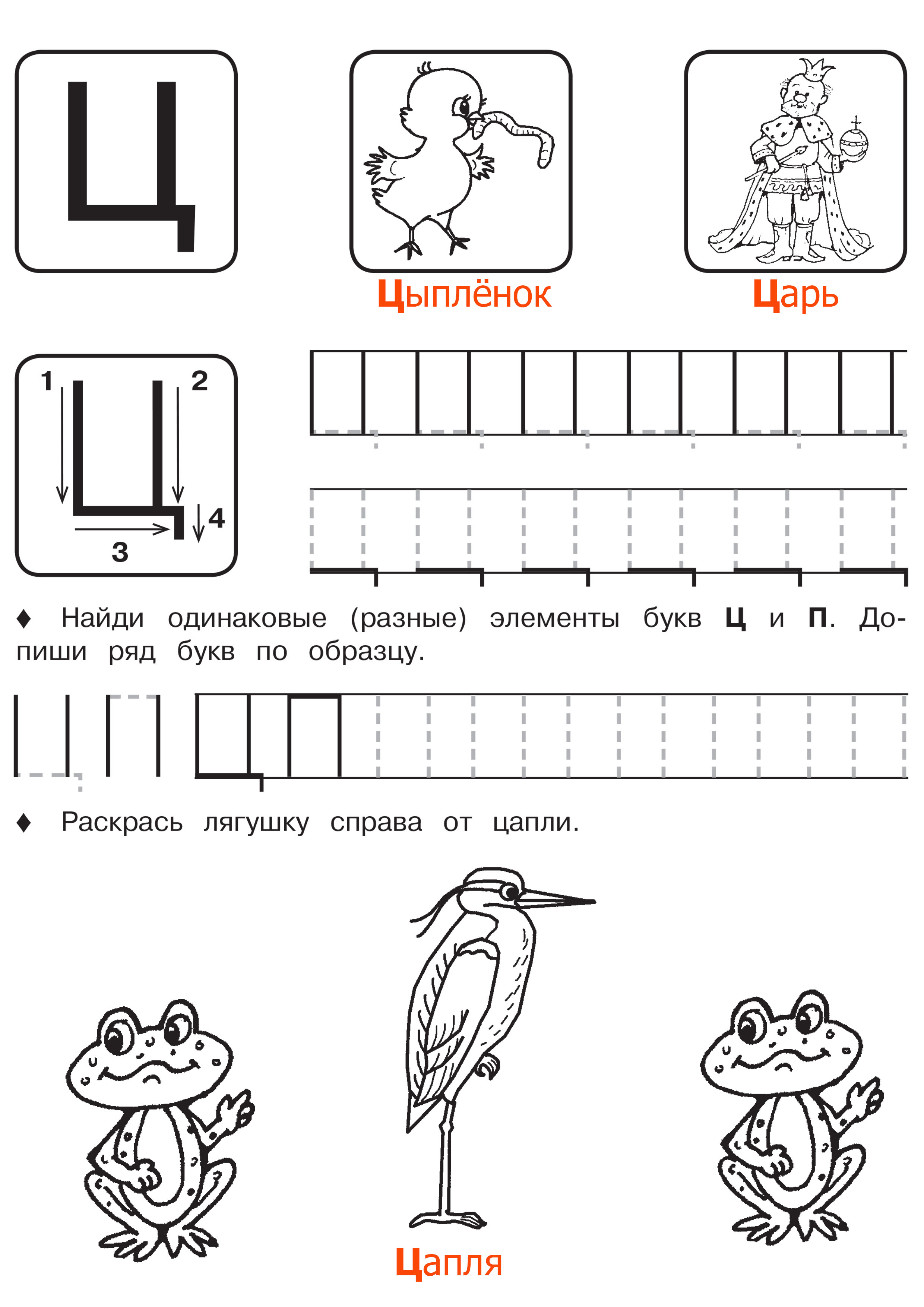 Буква Ц Раскраски