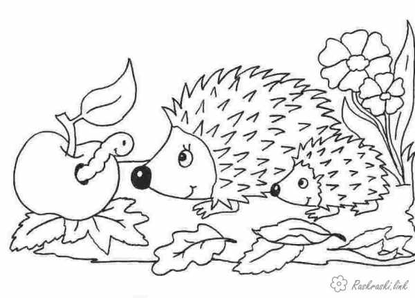 Раскраски с ежами у которых на спине яблоки грибы и листья