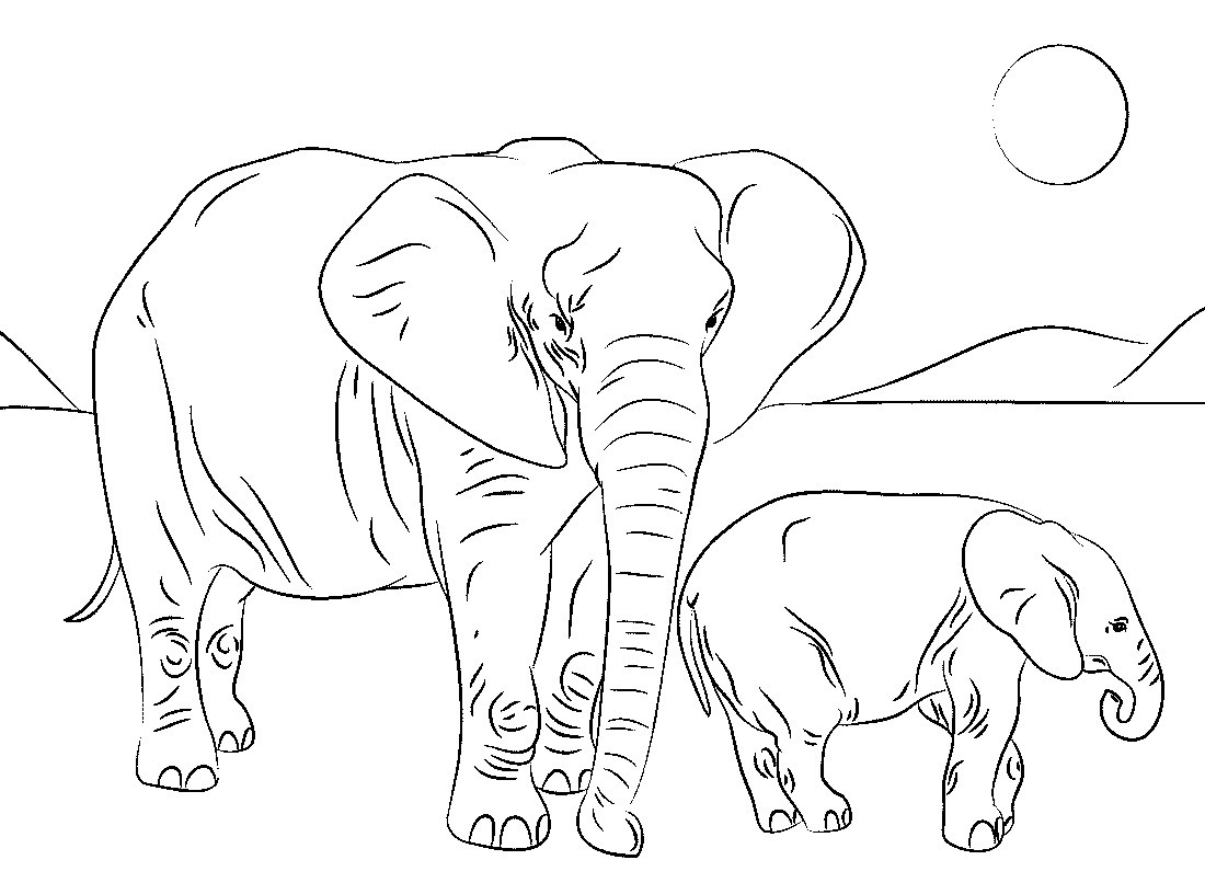 Индийские и африканские слоны это животные с длинным хоботом