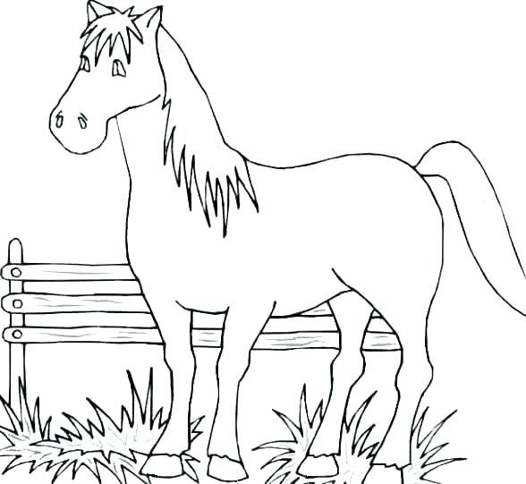 Лошадки в хорошем качестве распечатать бесплатно