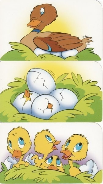 Последовательности и ряды на логику. Прокомментируй верная ли последовательно...