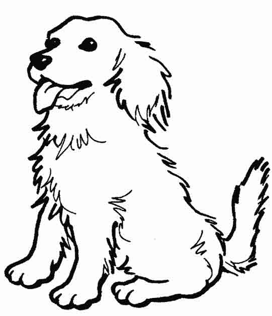 Собака друг человека. Домашние животные