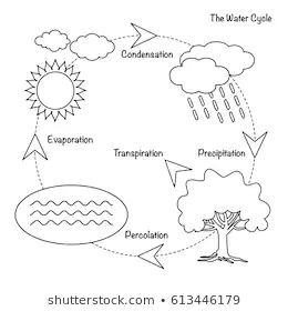 Раскраски со схемами круговорота воды в природе для занятий по раннему развит...