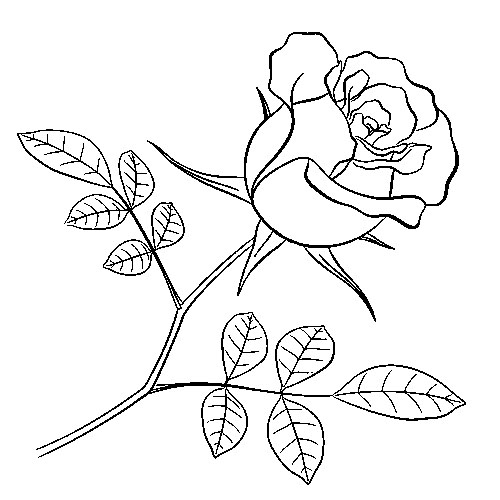 Контуры цветов для вырезания скрапбукинга поделок и аппликаций скачать беспла...