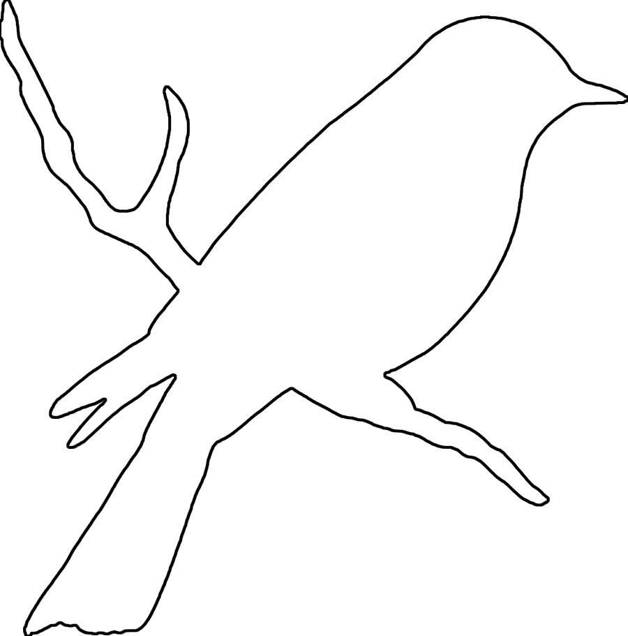 Скачать раскраски с контурами птиц онлайн.