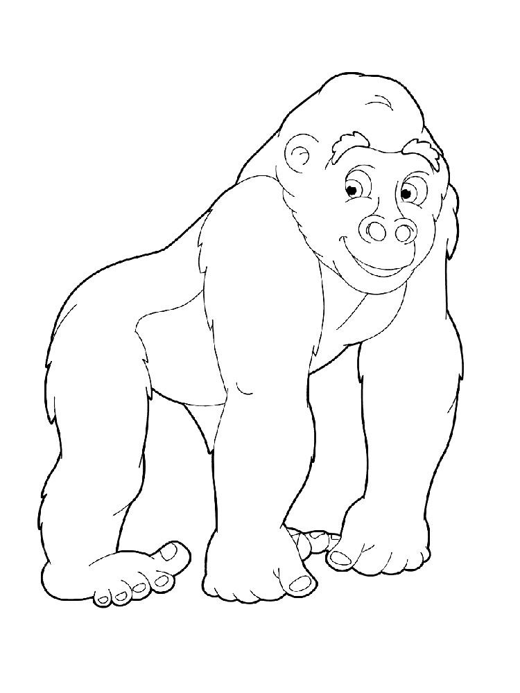 Обезьяны это животные которые едят бананы и лазают по деревьям