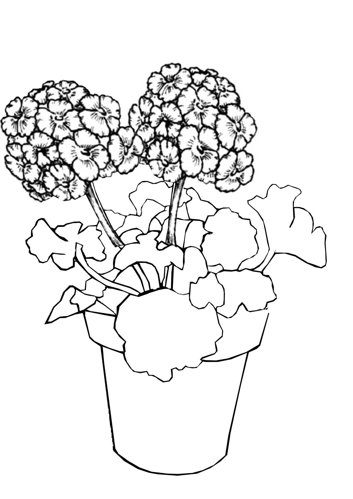 Цветы в горшке для раскрашивания