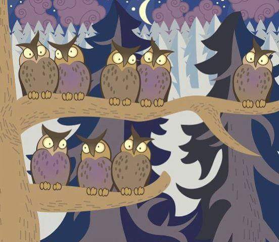 Задания на внимательность. Найди одинаковые картинки