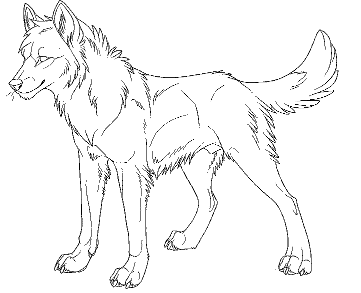 Раскраски с  волком из мультфильма и сказки. Серый волк