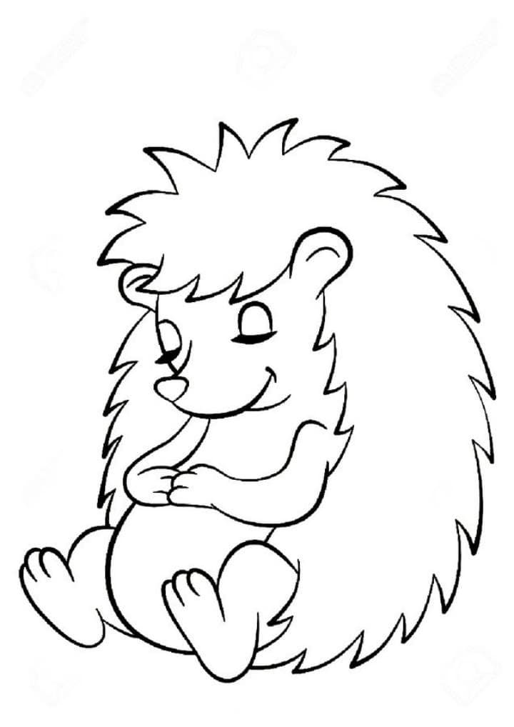 Раскраски с ежами у которых на спине яблоки грибы и листья