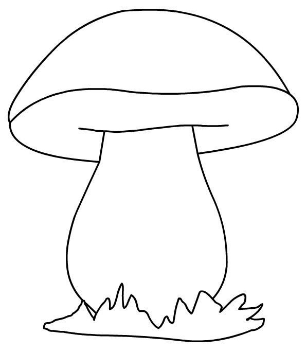 Раскраски грибов скачать и распечатать онлайн бесплатно