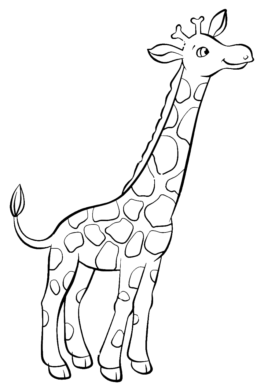 Животные Африки. Жираф