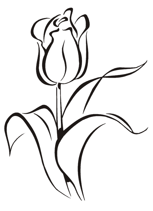 Контуры цветов для вырезания скрапбукинга поделок и аппликаций скачать беспла...